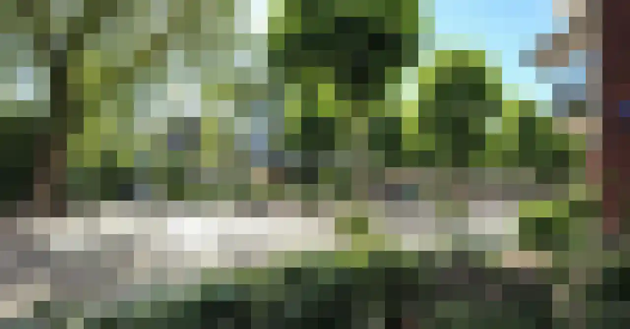Drukkerij 17 Schagen thumbnail 33