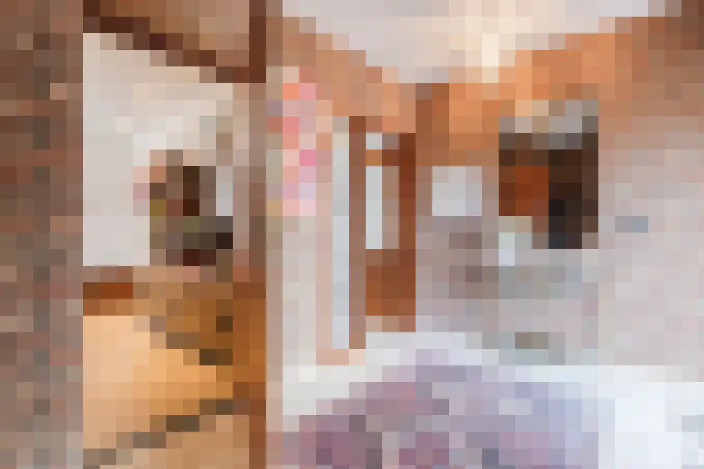 Drukkerstraat 10 Echt thumbnail 10
