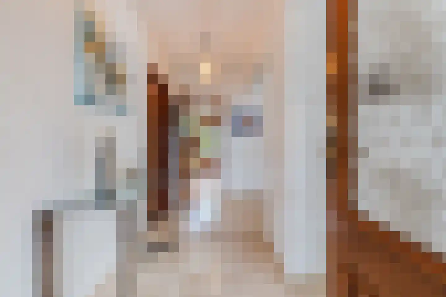 Drukkerstraat 10 Echt thumbnail 12