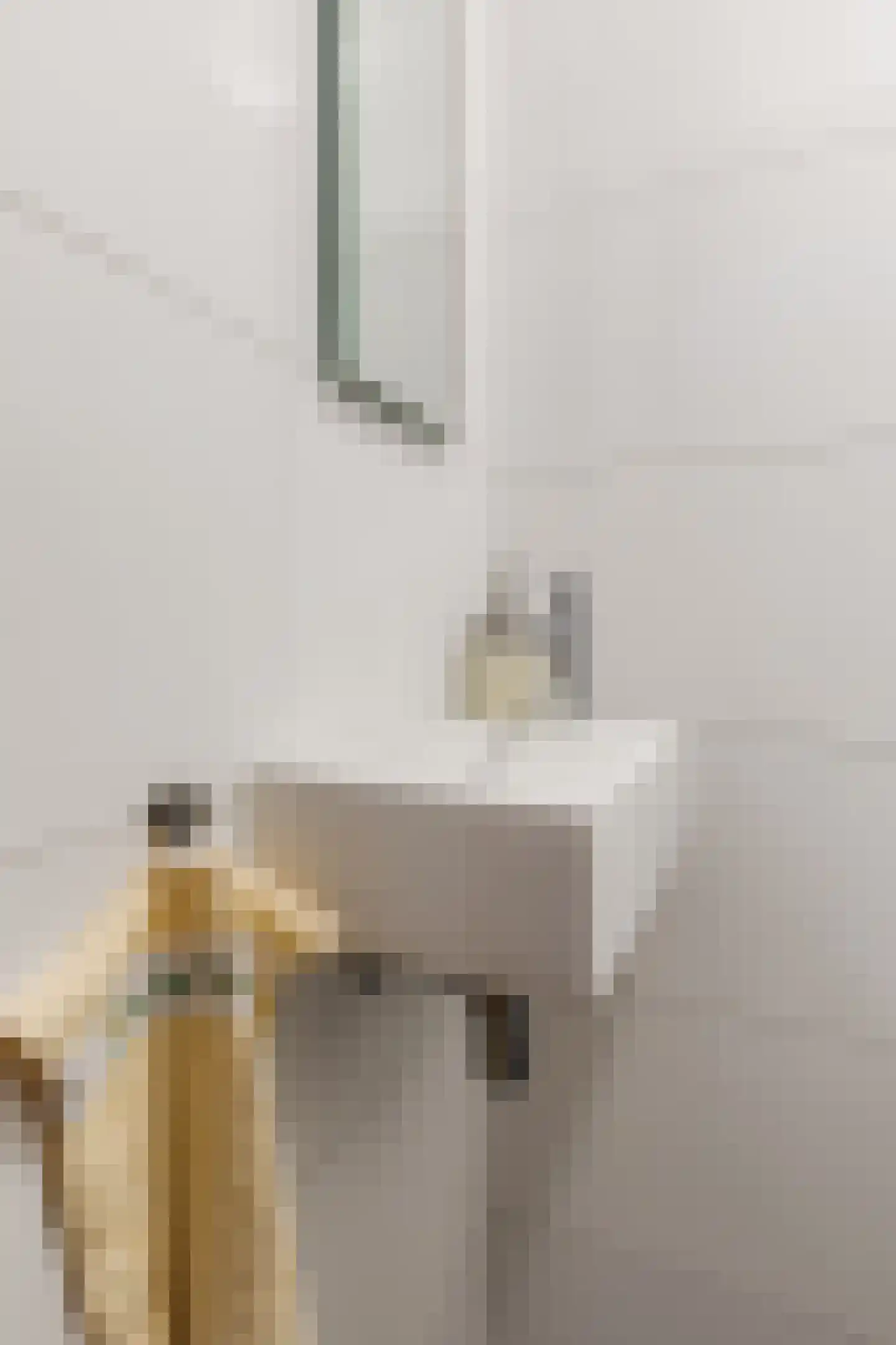 Drukkerstraat 10 Echt thumbnail 14