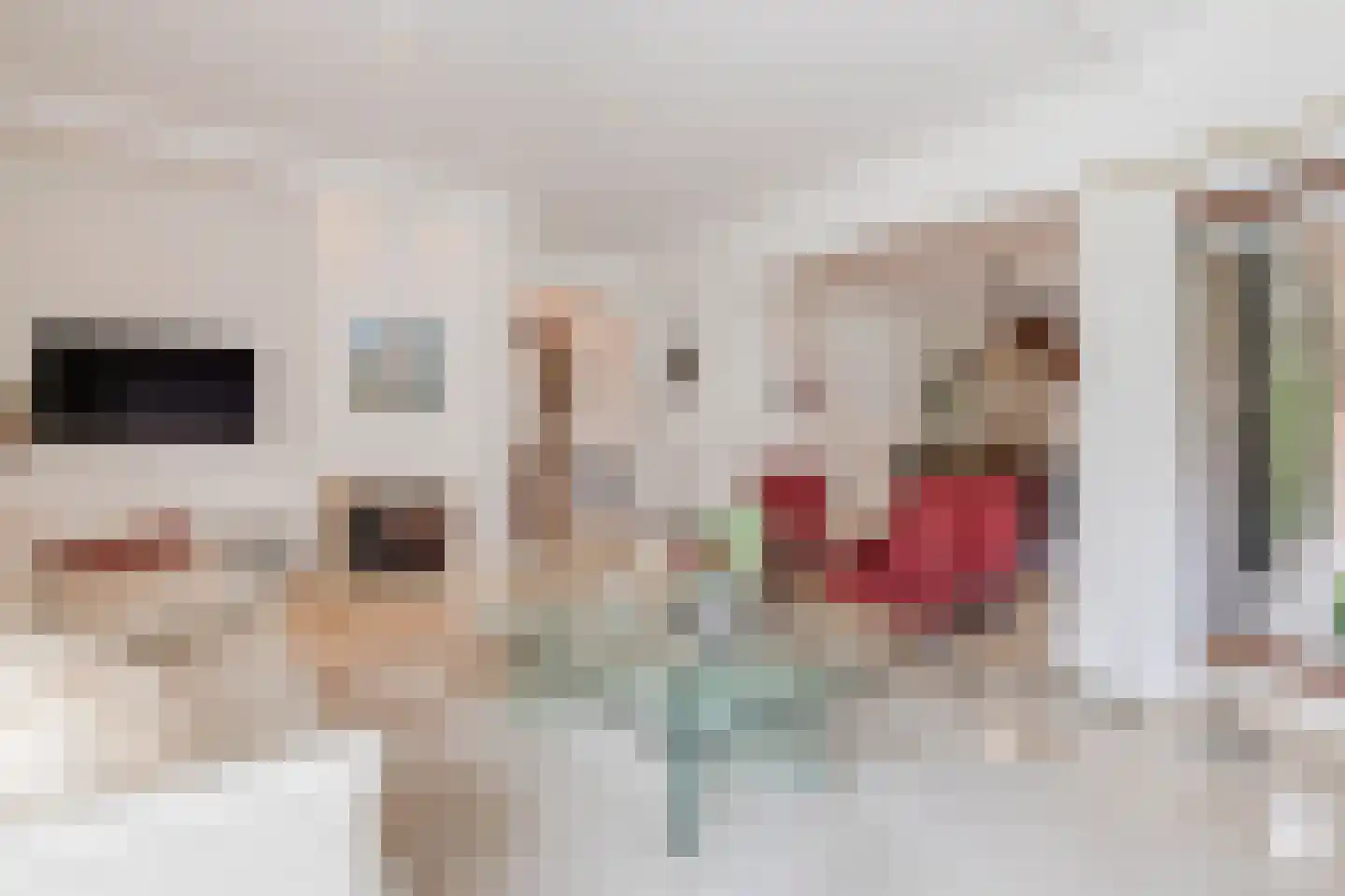 Drukkerstraat 10 Echt thumbnail 17