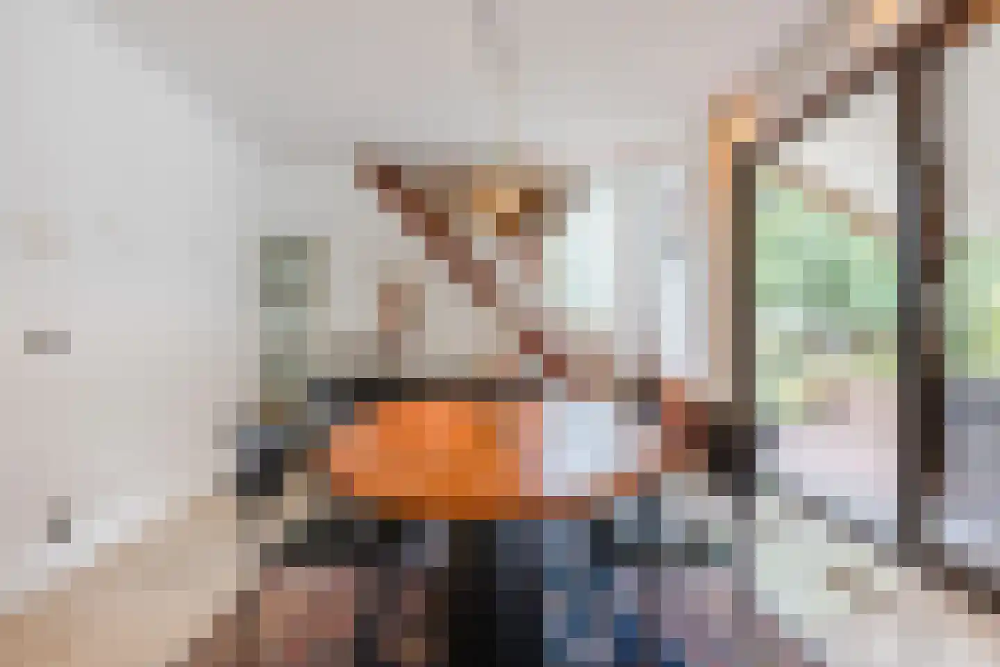 Drukkerstraat 10 Echt thumbnail 19