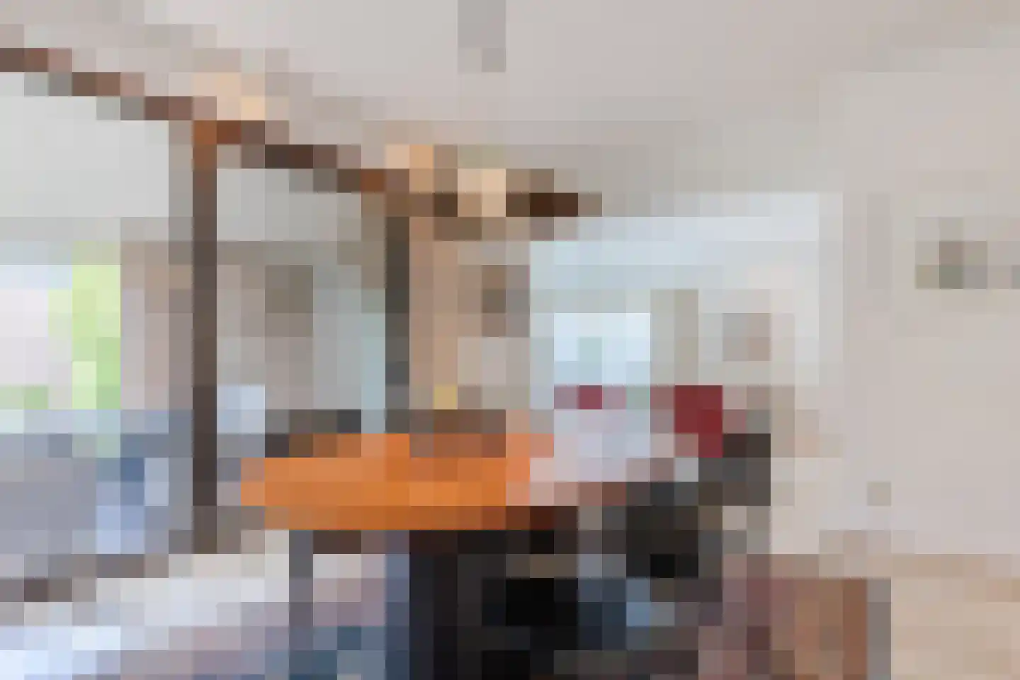 Drukkerstraat 10 Echt thumbnail 20