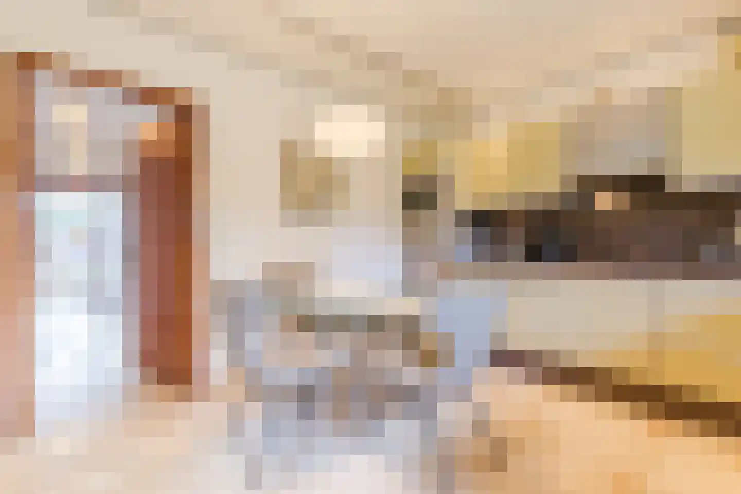 Drukkerstraat 10 Echt thumbnail 22