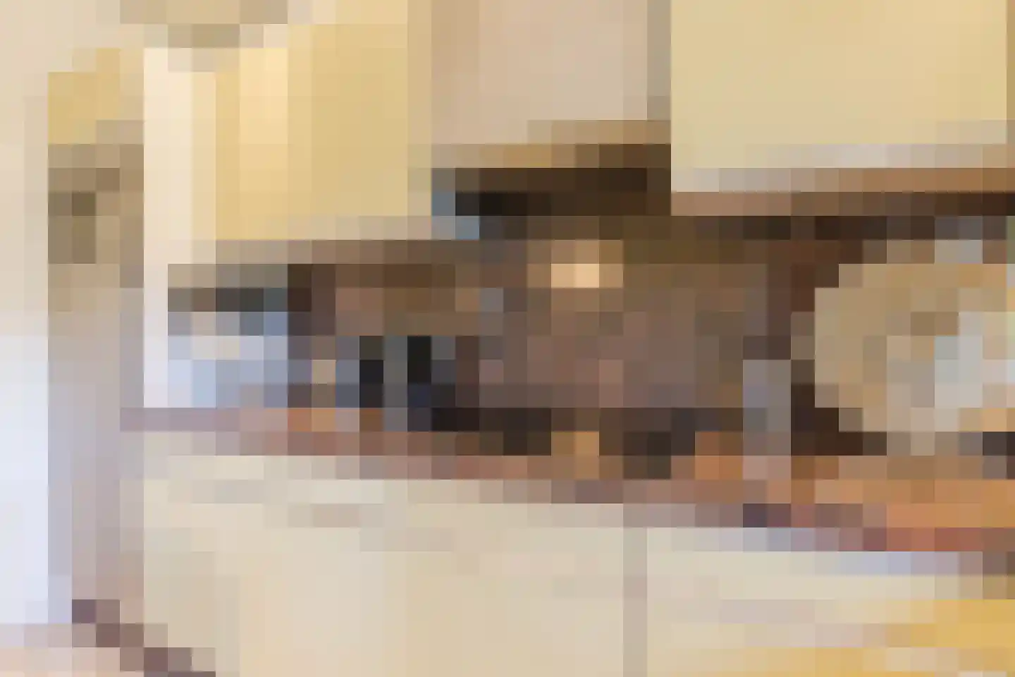 Drukkerstraat 10 Echt thumbnail 24
