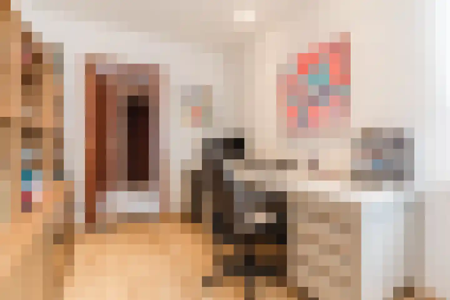 Drukkerstraat 10 Echt thumbnail 28