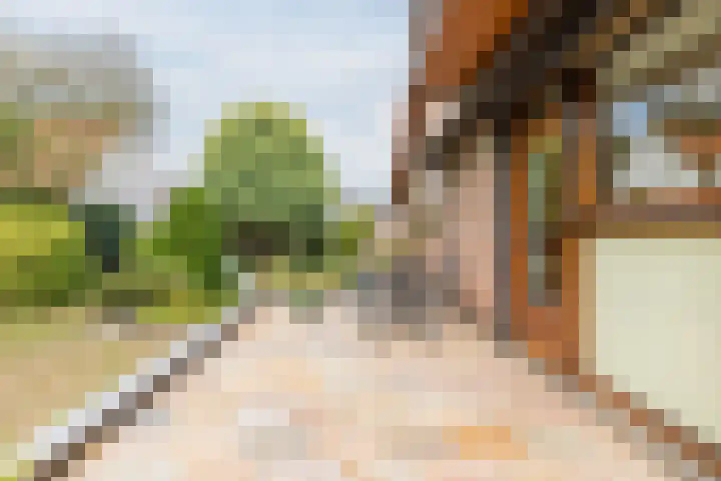 Drukkerstraat 10 Echt thumbnail 29