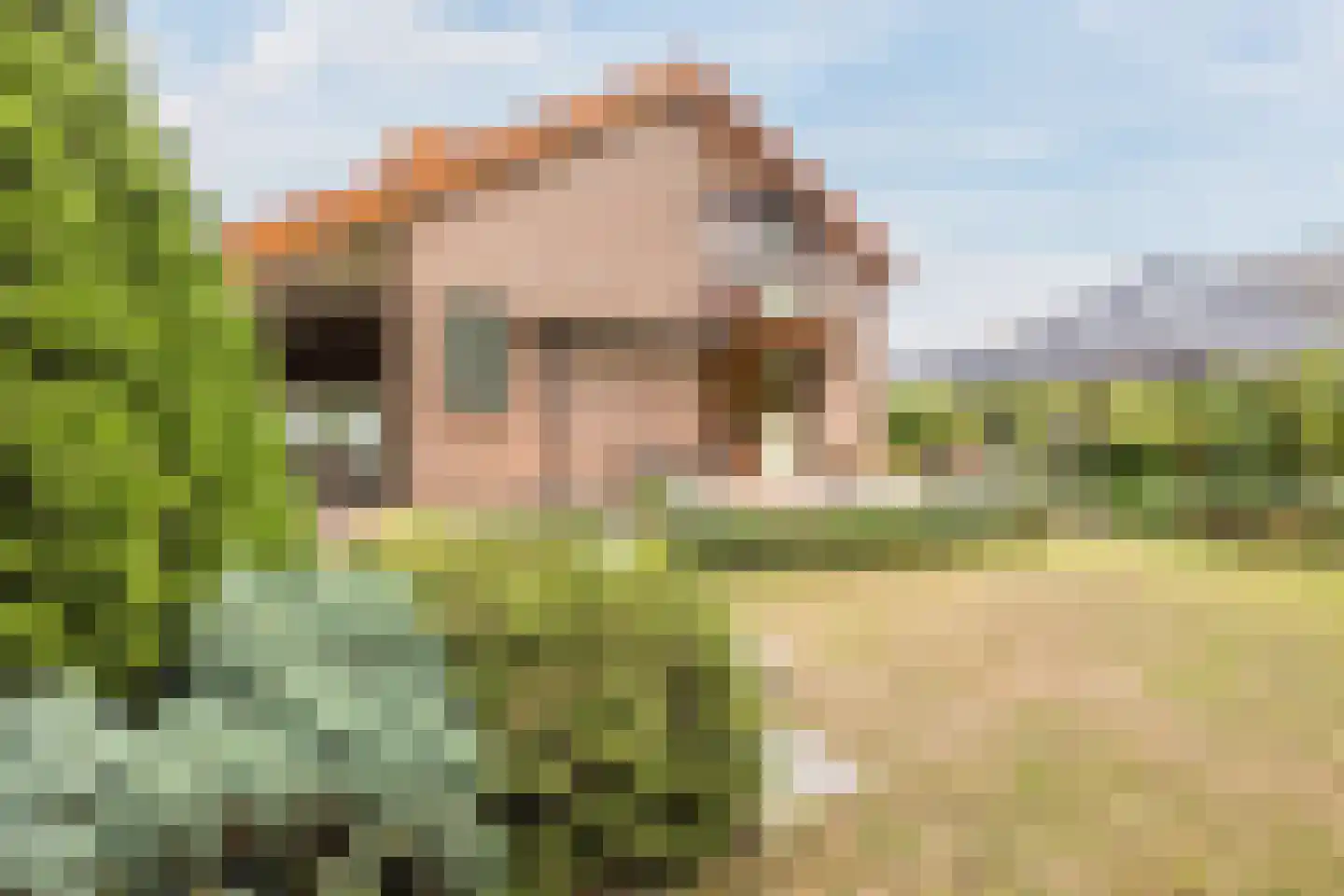 Drukkerstraat 10 Echt thumbnail 32