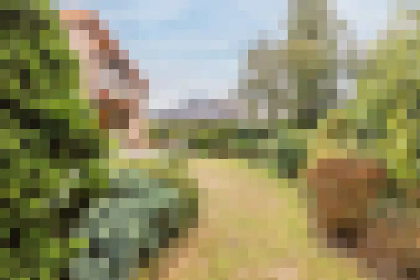 Drukkerstraat 10 Echt thumbnail 33