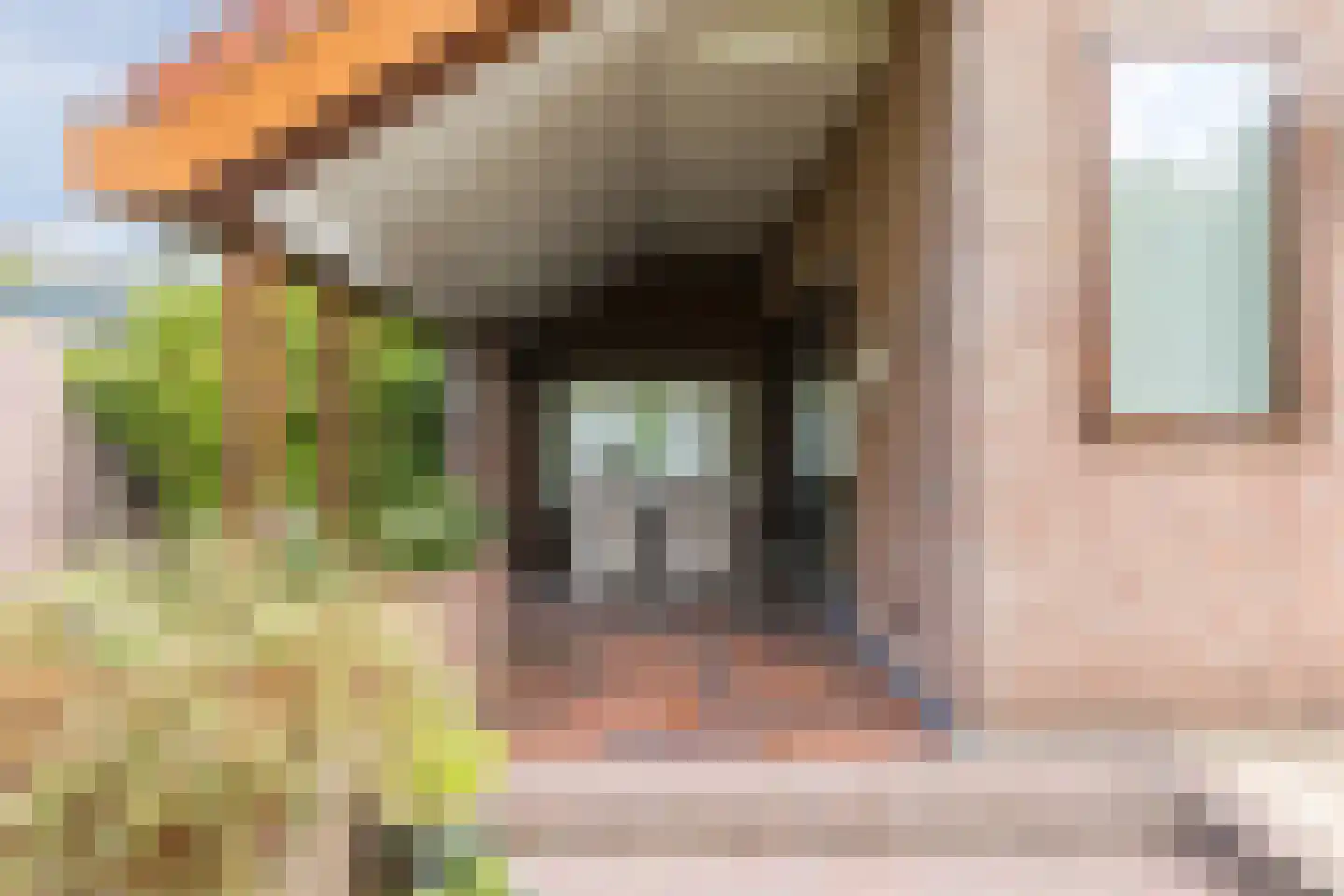 Drukkerstraat 10 Echt thumbnail 34