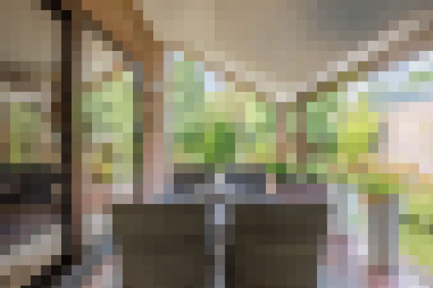 Drukkerstraat 10 Echt thumbnail 35