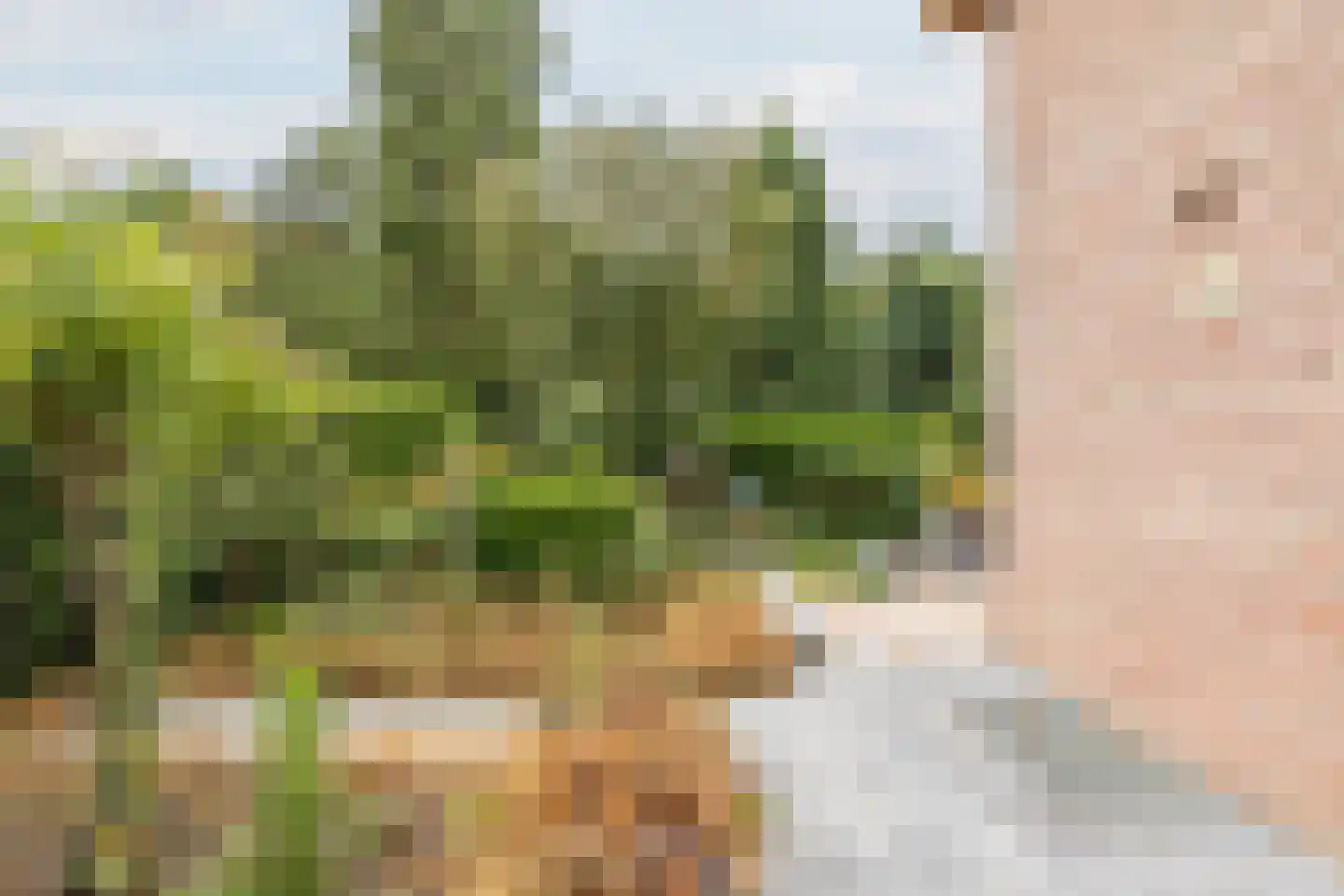 Drukkerstraat 10 Echt thumbnail 37