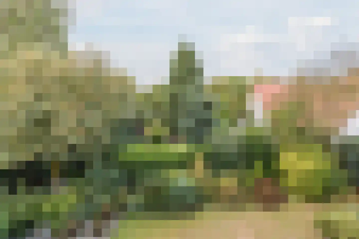 Drukkerstraat 10 Echt thumbnail 39