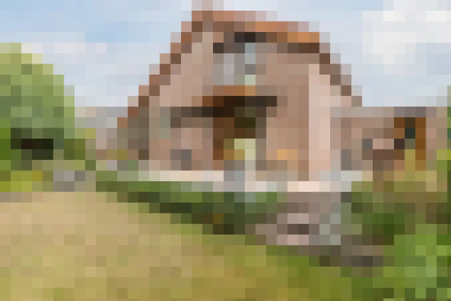 Drukkerstraat 10 Echt thumbnail 4