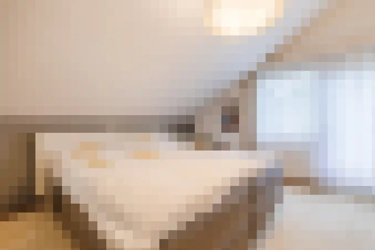 Drukkerstraat 10 Echt thumbnail 42