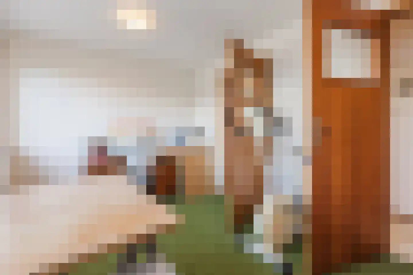 Drukkerstraat 10 Echt thumbnail 47