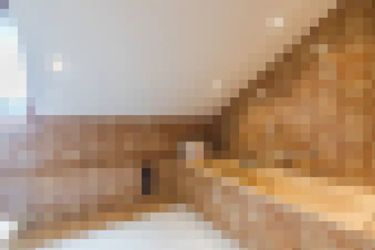 Drukkerstraat 10 Echt thumbnail 48