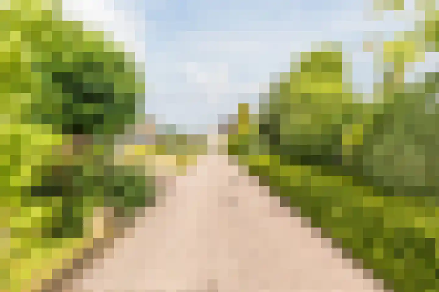 Drukkerstraat 10 Echt thumbnail 58