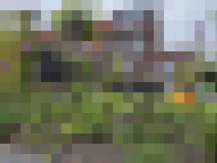 Drukpers 20 Meppel thumbnail 24