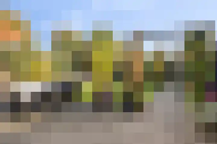 Drukpers 20 Meppel thumbnail 26