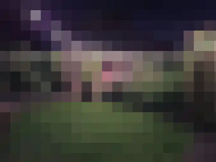 Drukpers 20 Meppel thumbnail 30