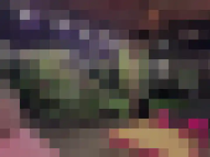Drukpers 20 Meppel thumbnail 33