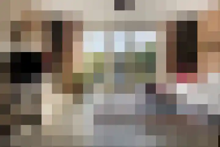 Drukpers 20 Meppel thumbnail 6