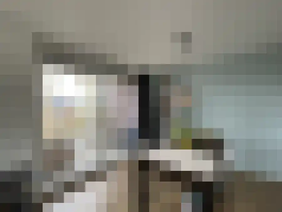 Drukpers 35 Meppel thumbnail 4