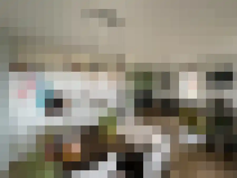Drukpers 35 Meppel thumbnail 5