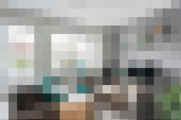 Drukpers 4 Meppel thumbnail 11