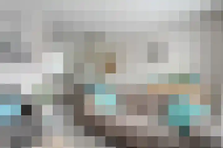 Drukpers 4 Meppel thumbnail 13
