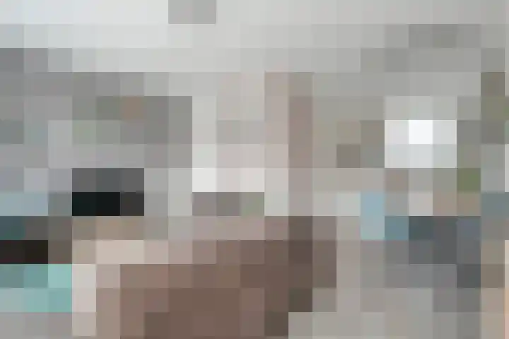Drukpers 4 Meppel thumbnail 14