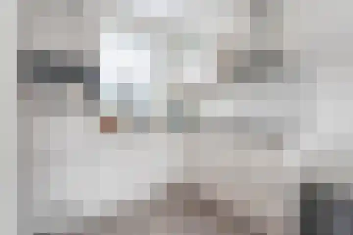 Drukpers 4 Meppel thumbnail 15