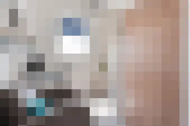 Drukpers 4 Meppel thumbnail 21