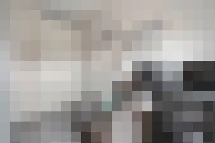 Drukpers 4 Meppel thumbnail 22