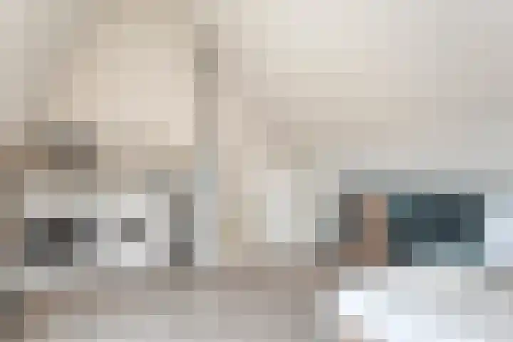 Drukpers 4 Meppel thumbnail 26