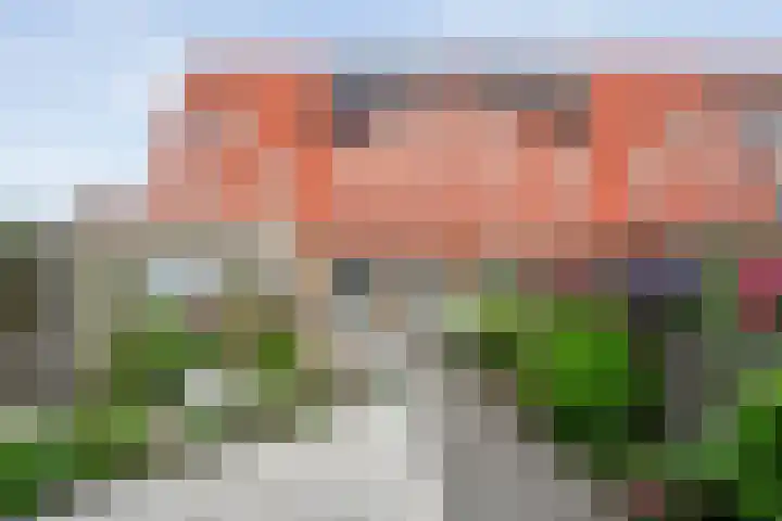 Drukpers 4 Meppel thumbnail 27
