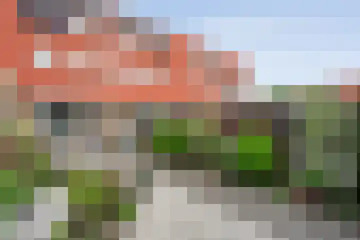 Drukpers 4 Meppel thumbnail 28