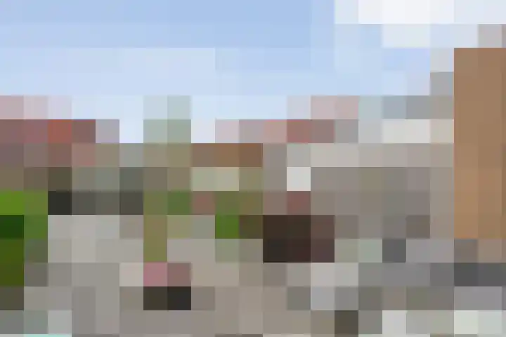 Drukpers 4 Meppel thumbnail 29