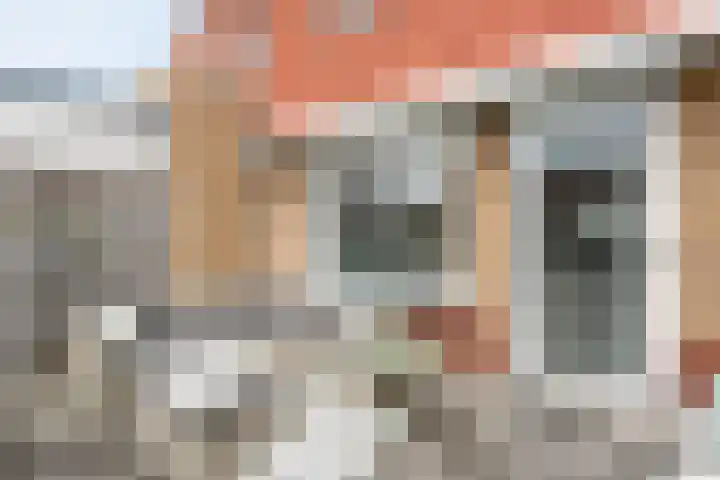 Drukpers 4 Meppel thumbnail 30