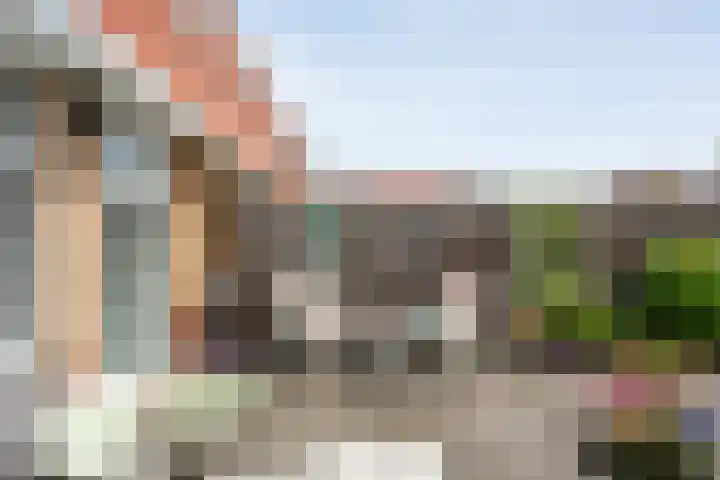 Drukpers 4 Meppel thumbnail 31