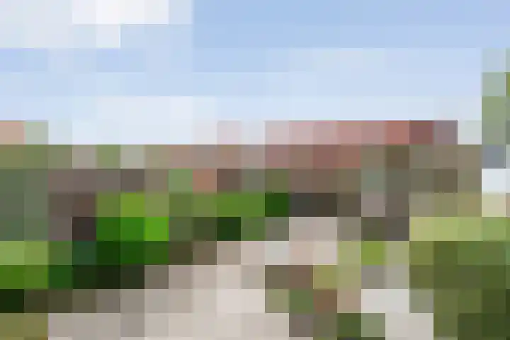 Drukpers 4 Meppel thumbnail 32