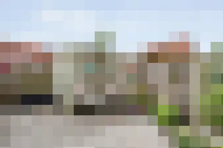 Drukpers 4 Meppel thumbnail 33