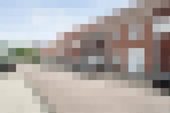 Drukpers 4 Meppel thumbnail 35