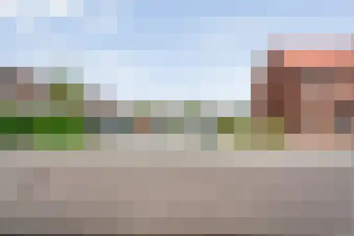 Drukpers 4 Meppel thumbnail 36