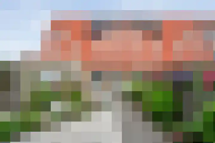 Drukpers 4 Meppel thumbnail 46