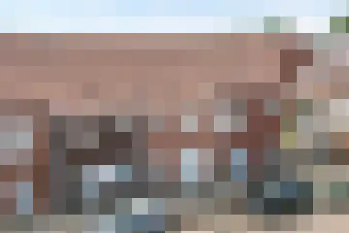 Drukpers 4 Meppel thumbnail 5