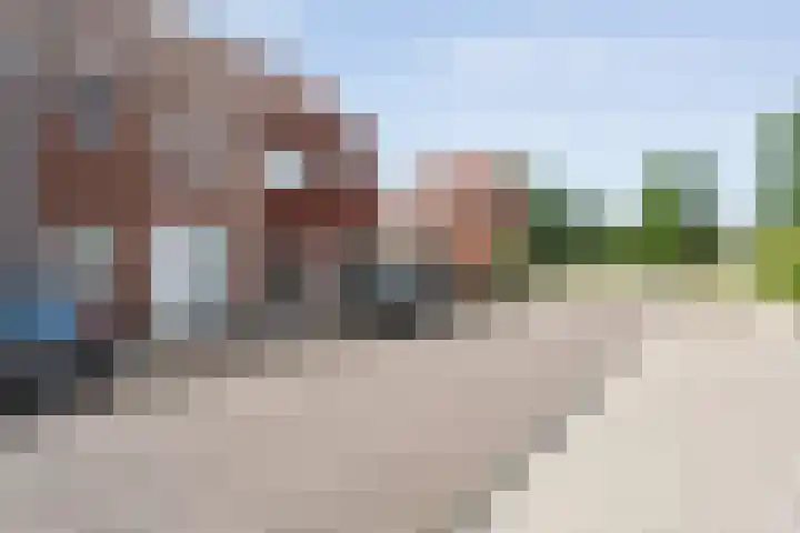 Drukpers 4 Meppel thumbnail 6