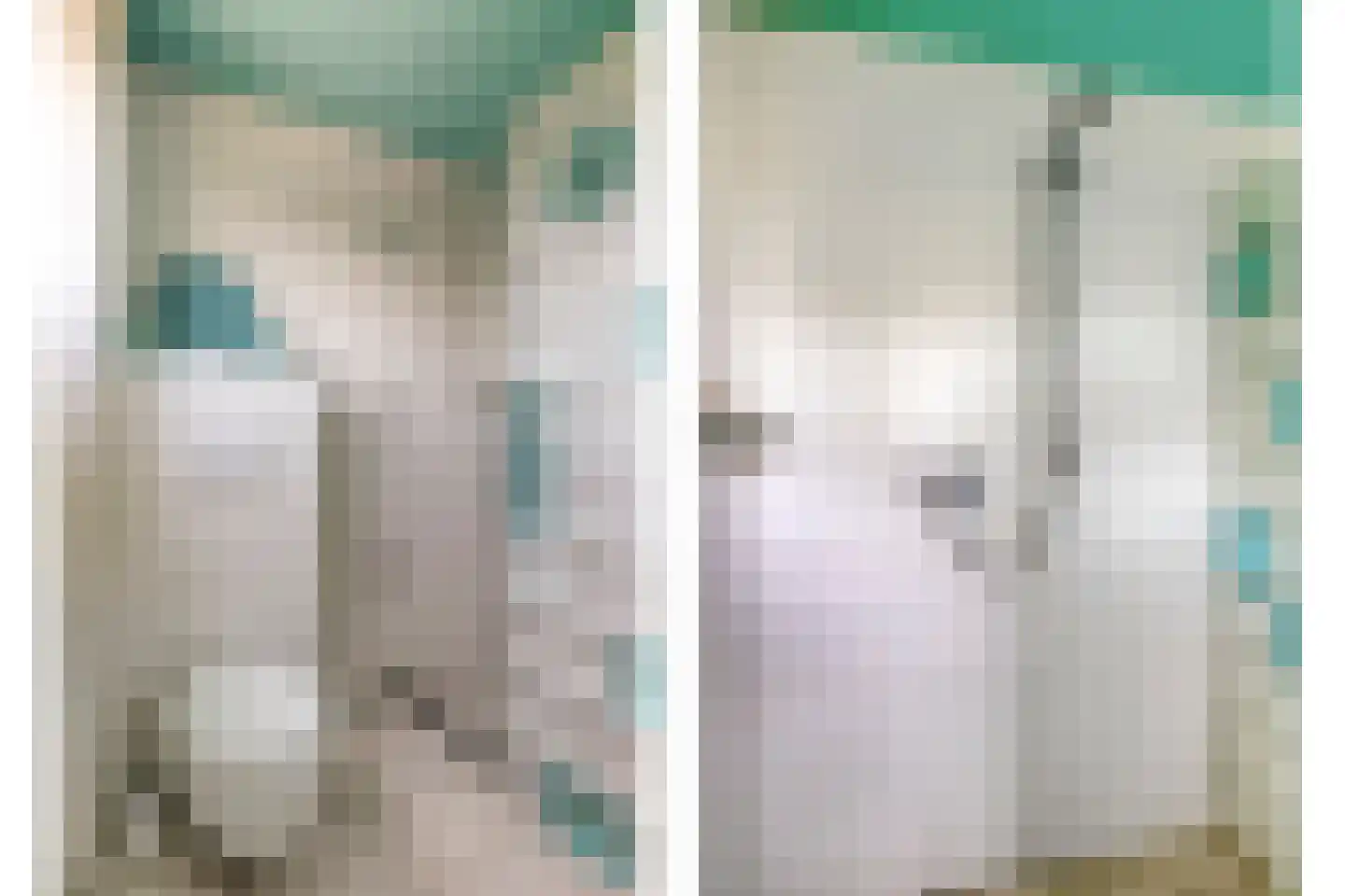 Drumptse Parallelweg 28 Tiel thumbnail 20