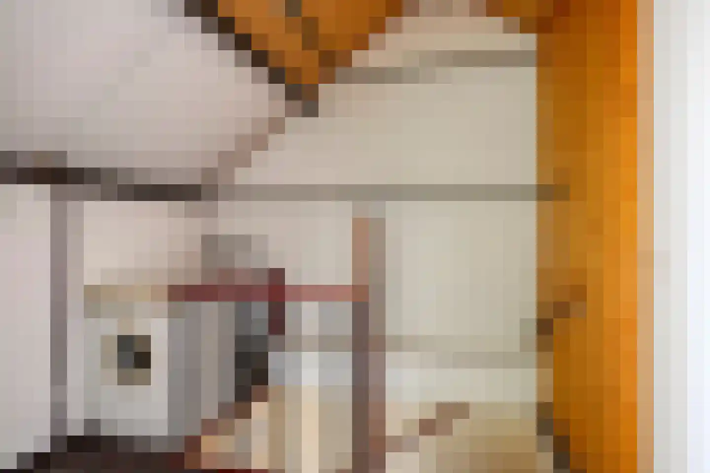 Drumptse Parallelweg 28 Tiel thumbnail 21